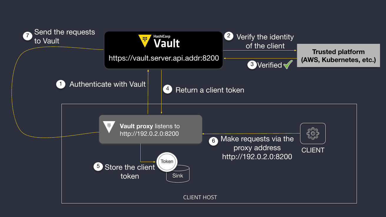 Vault Proxy Workflow